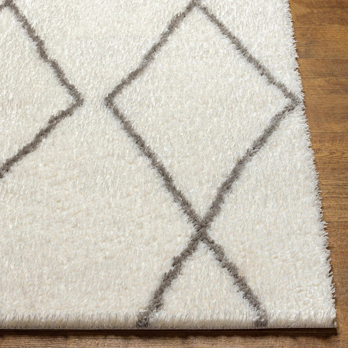 Maximiliano Area Rug, photo 7 of 7