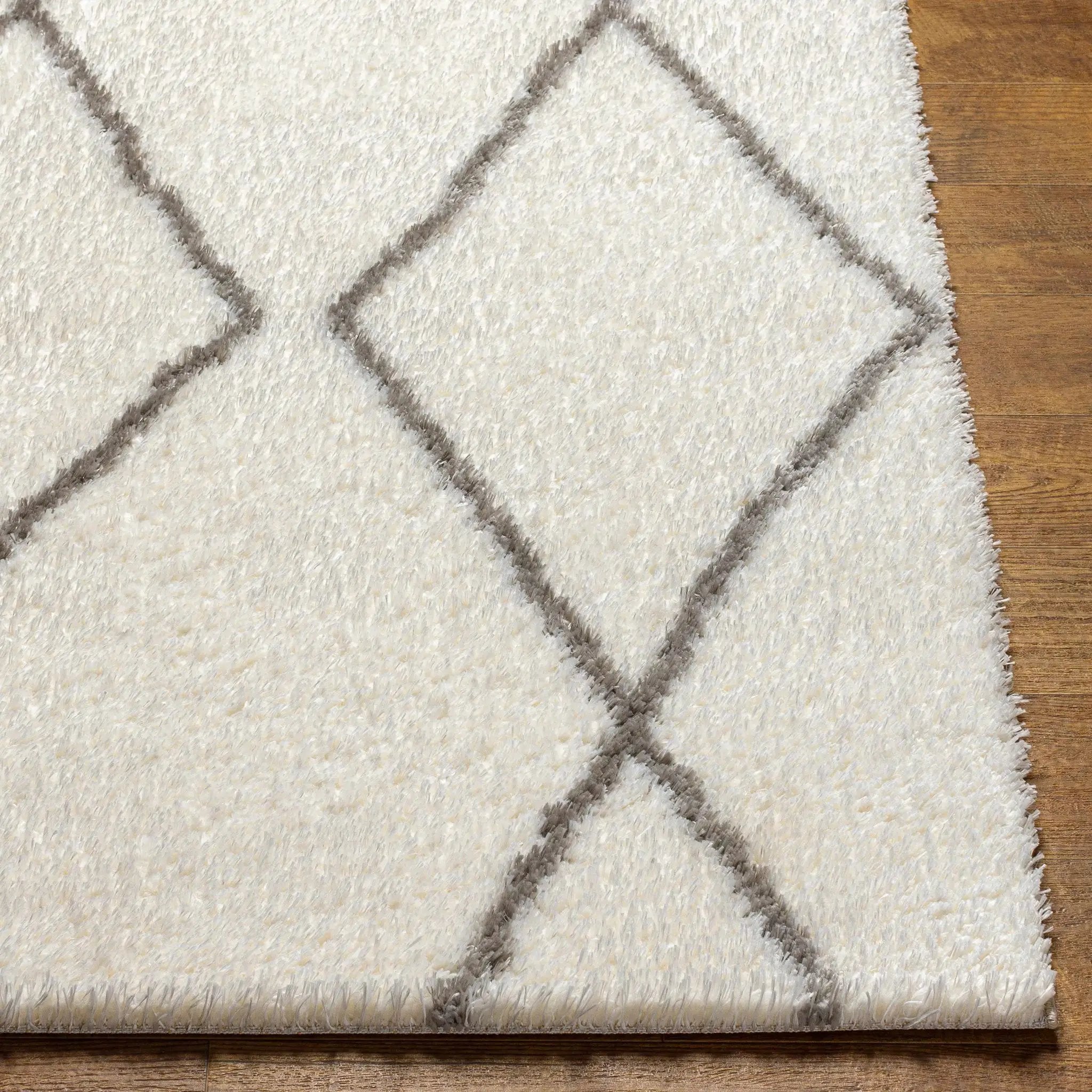 Maximiliano Area Rug by Boutique Rugs