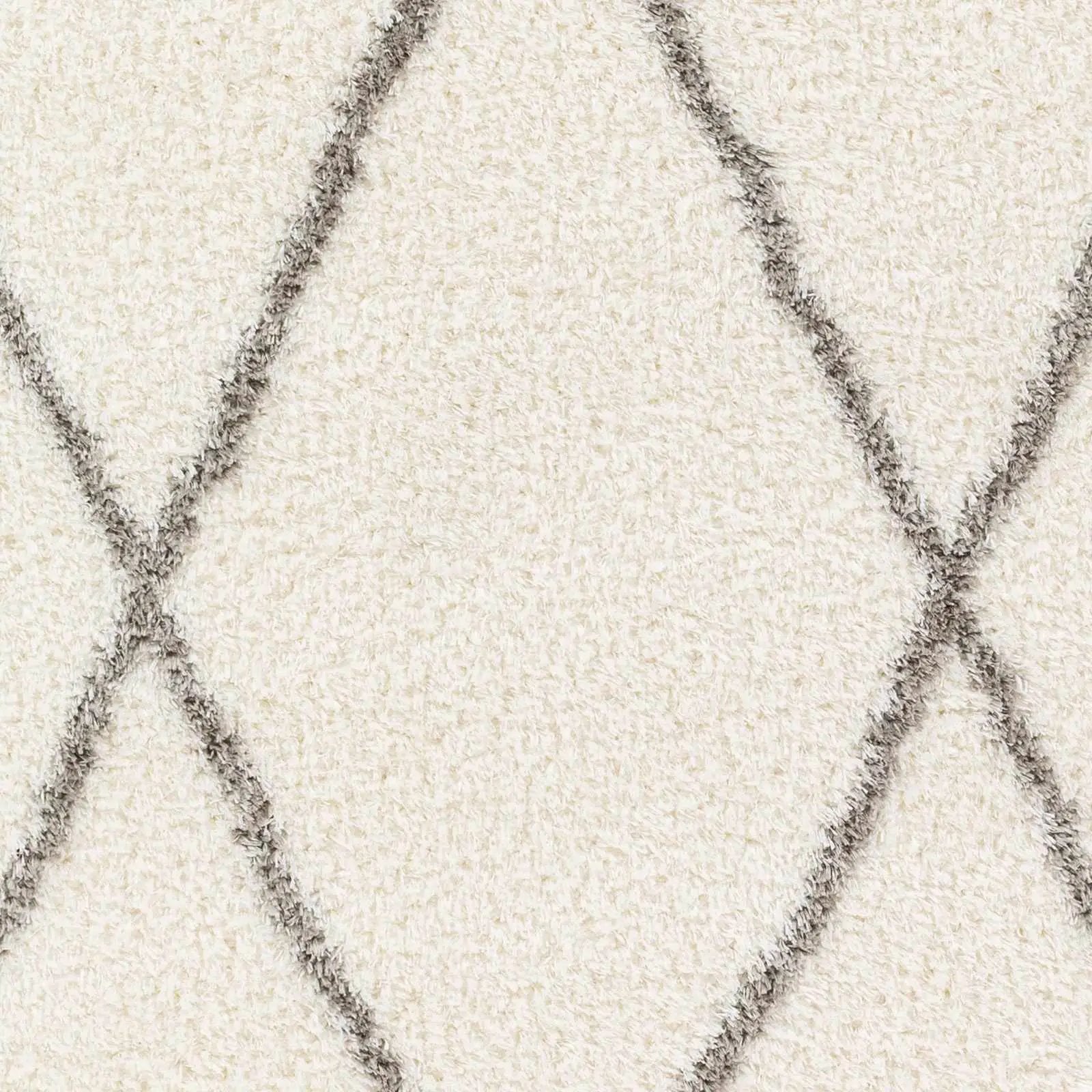 Maximiliano Area Rug by Boutique Rugs