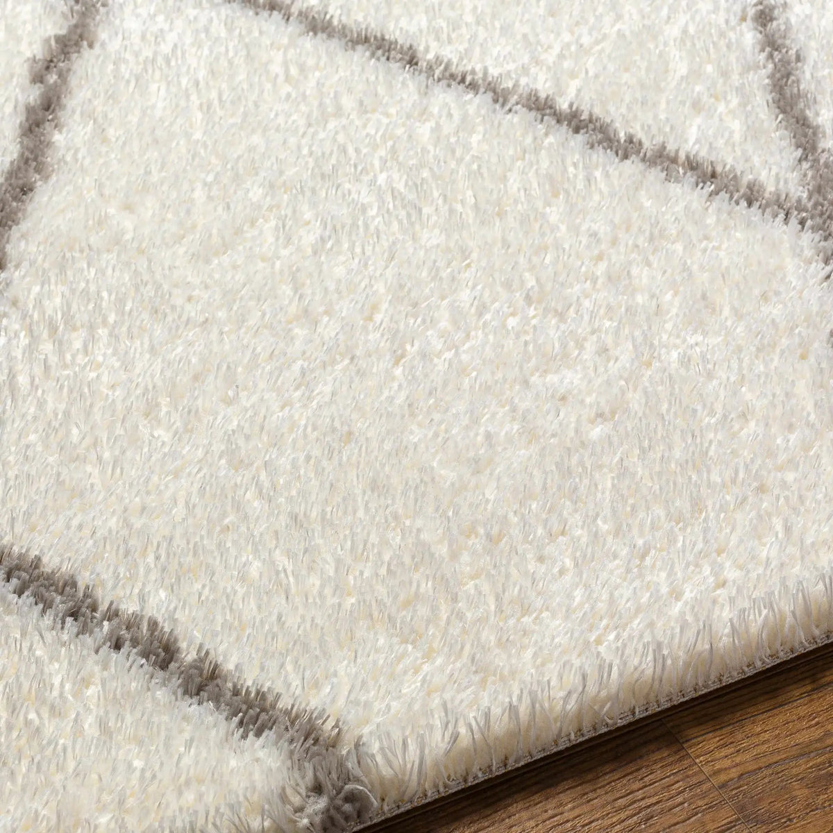 Maximiliano Area Rug, photo 4 of 7