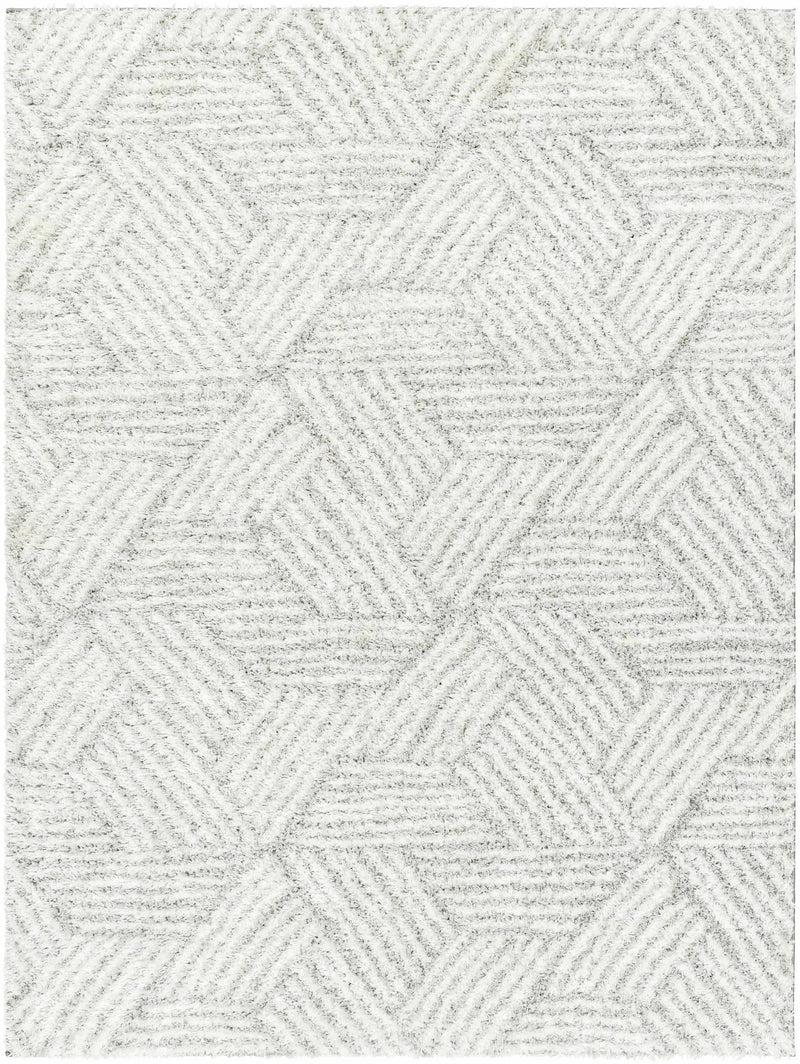 Mura Gray Area Rug by Boutique Rugs