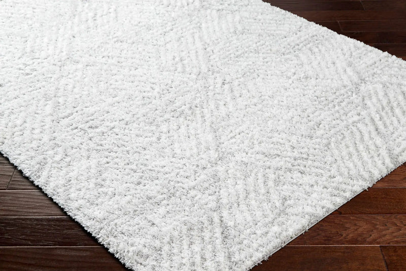 Mura Gray Area Rug by Boutique Rugs