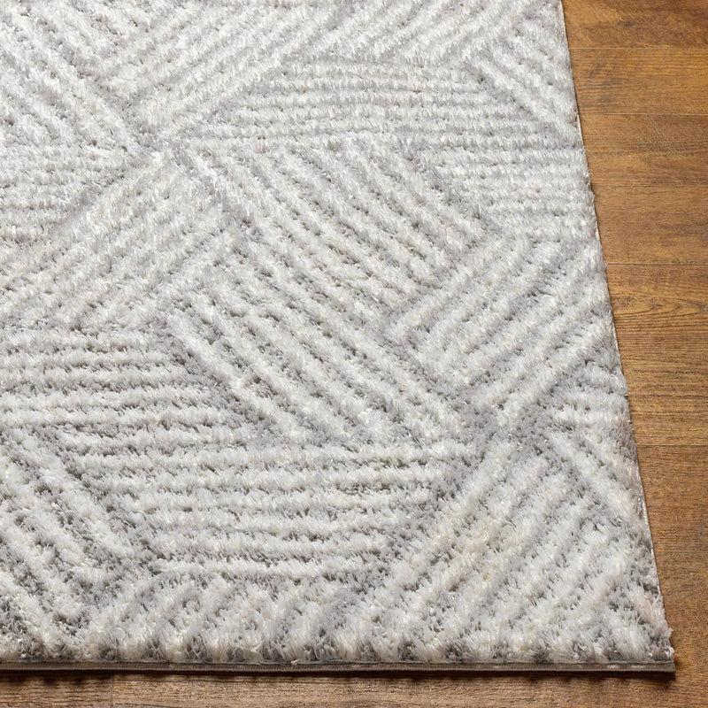 Mura Gray Area Rug by Boutique Rugs