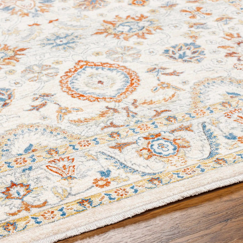 Araya Area Rug - Clearance by Boutique Rugs