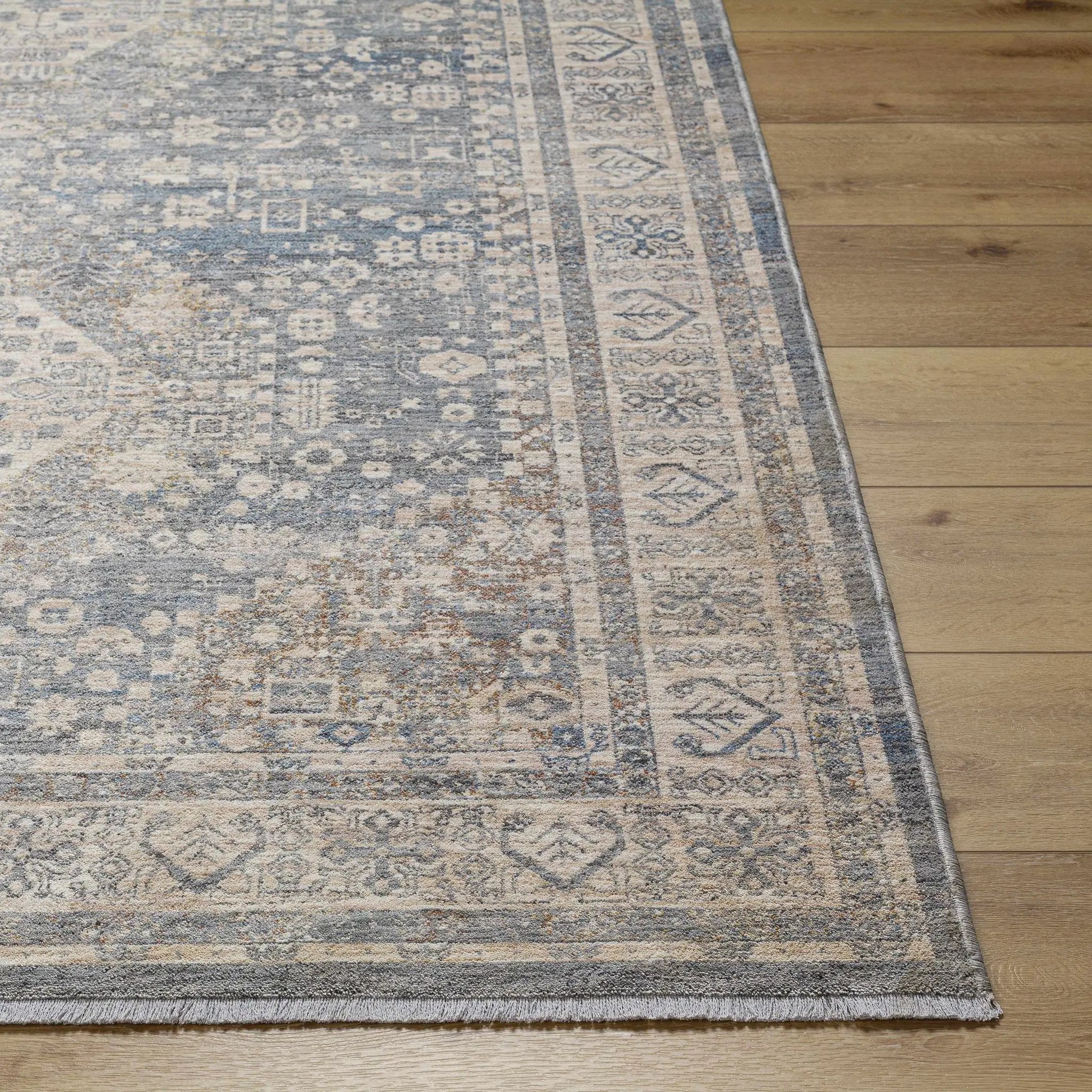 Artan Area Rug - Clearance by Boutique Rugs