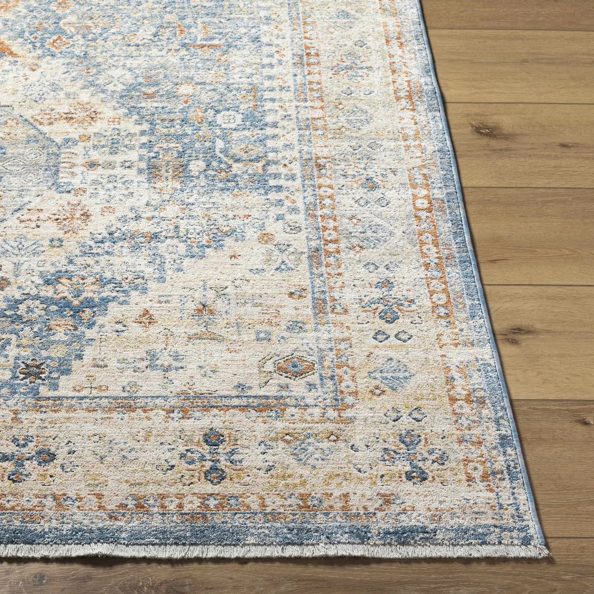 Cyndi Area Rug - Clearance, photo 6 of 12