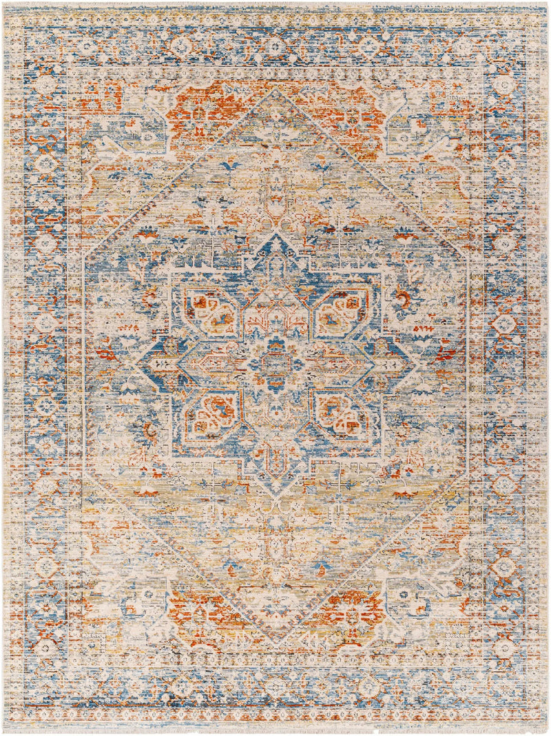 Elita Area Rug - Clearance by Boutique Rugs