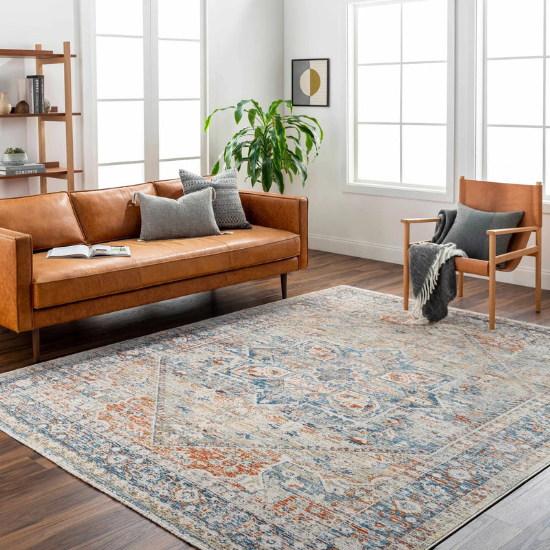 Elita Area Rug - Clearance by Boutique Rugs