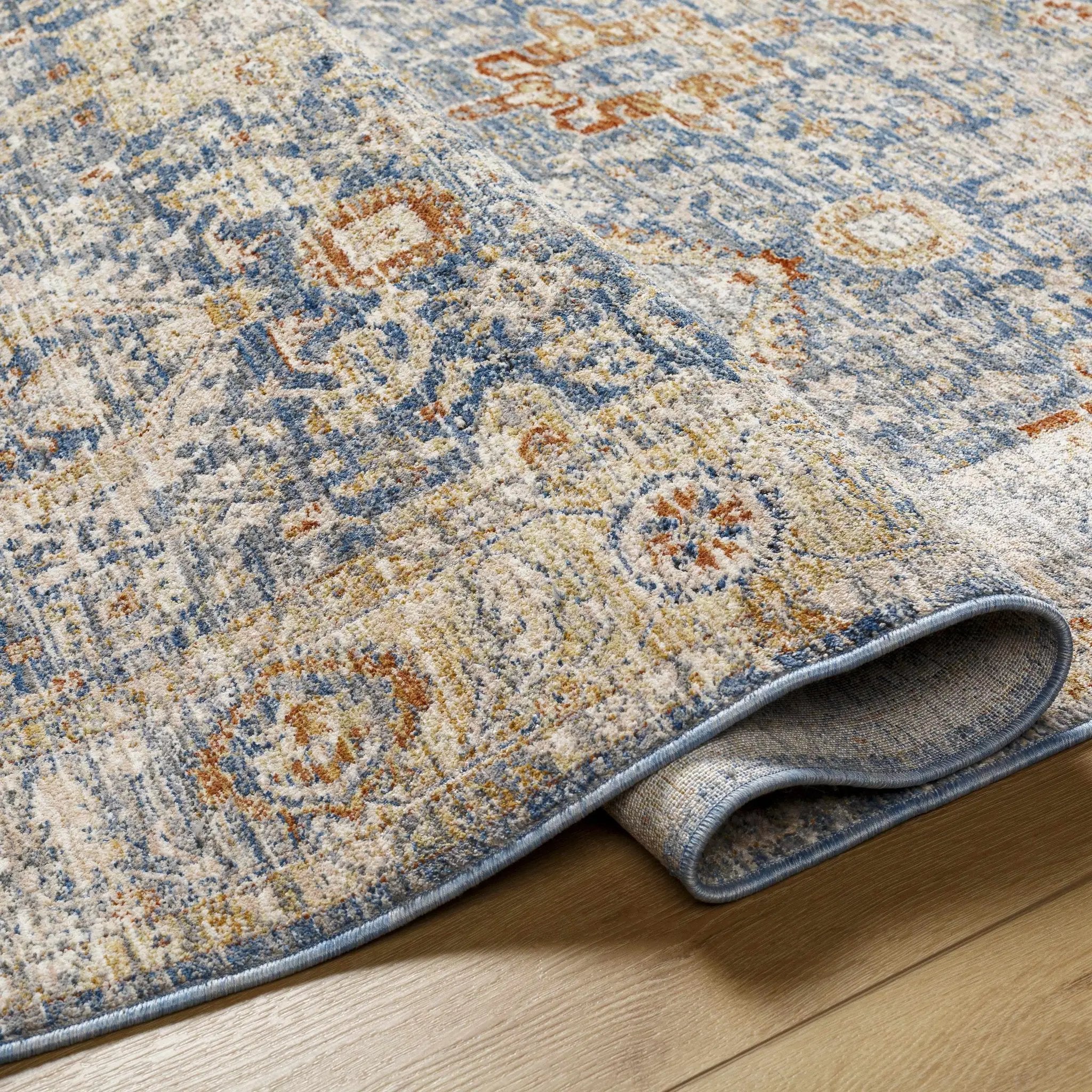 Eytan Area Rug - Clearance by Boutique Rugs