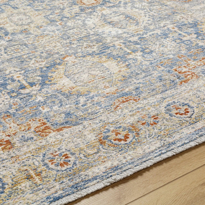 Eytan Area Rug - Clearance by Boutique Rugs