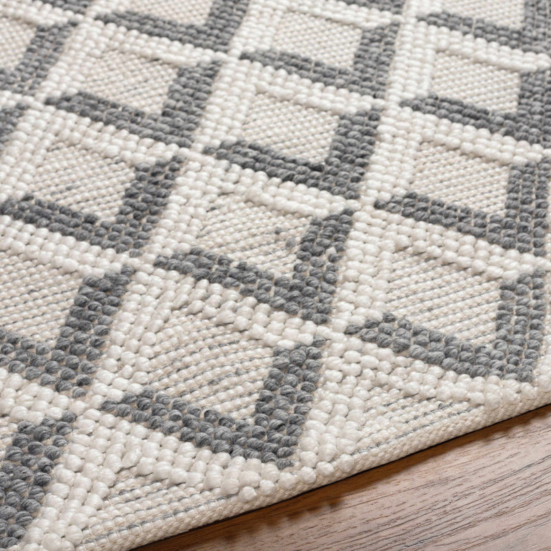 Maik Area Rug - Clearance by Boutique Rugs
