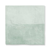 Seafare Glossy Ceramic Accent Tiles 5x5