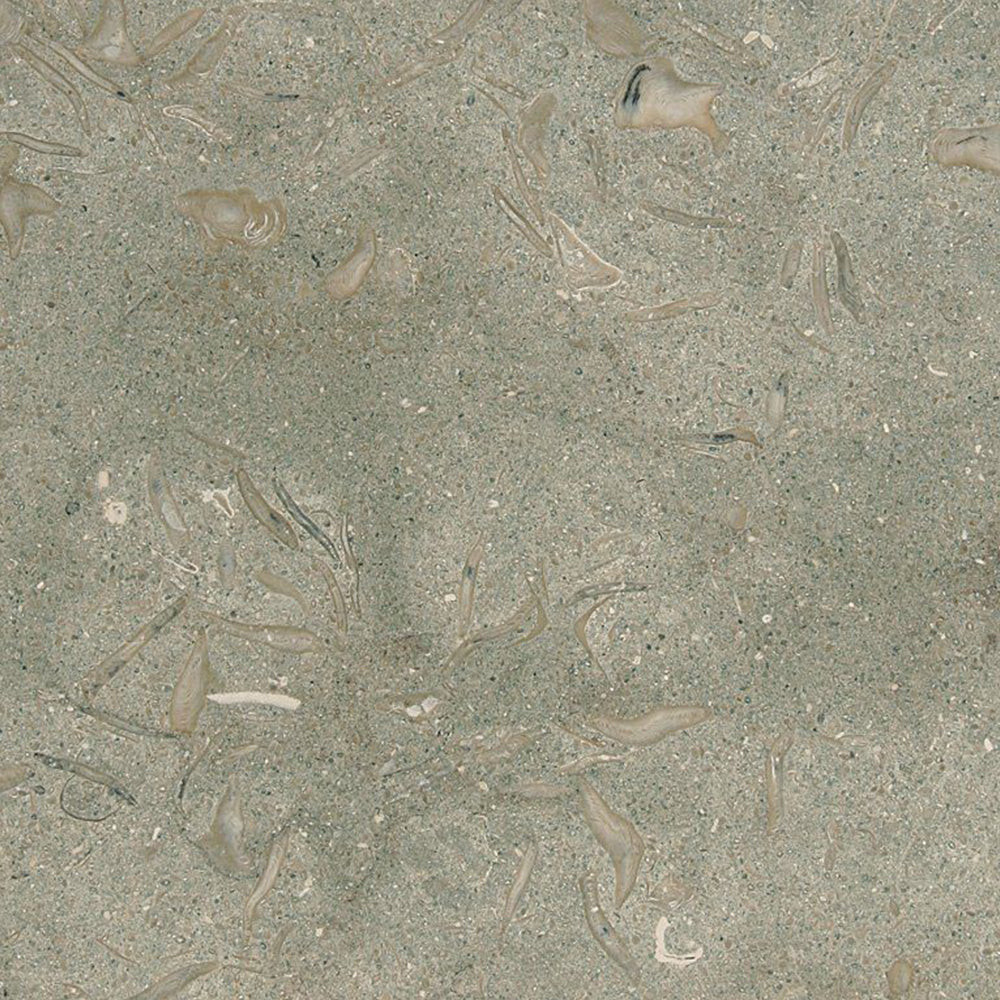 Seagrass Honed Limestone Tiles 12x12 Limestone Honed 12x12 Tiles
