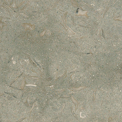 Seagrass Honed Limestone Tiles 12x12