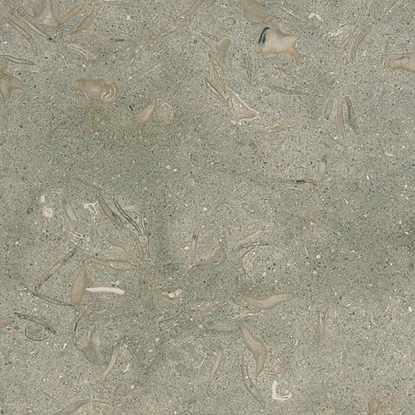 Seagrass Honed Limestone Tiles 12x12