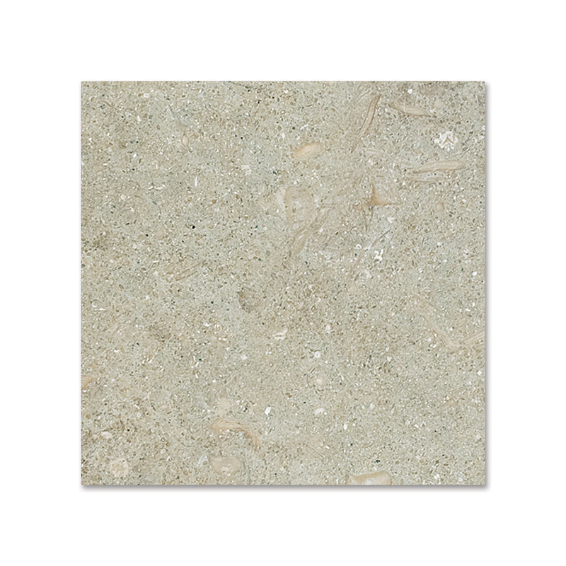 Seagrass Honed Limestone Tiles 4x4 Limestone Honed 4x4 Tiles