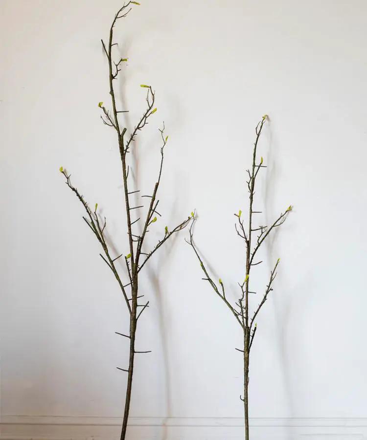 Seed Germination Branch Stem Faux by RusticReach