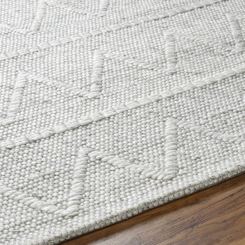 Kyung Gray Area Rug - Clearance by Boutique Rugs