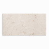 Shell Reef Tumbled Limestone Pavers 24x48
