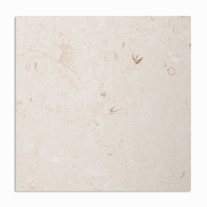 Shell Reef Tumbled Limestone Pavers 36x36 Limestone Tumbled 36x36 Pavers