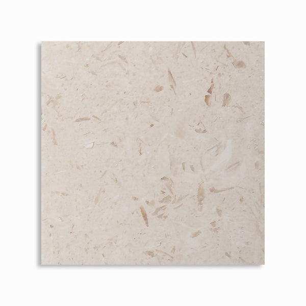 Shell Reef Tumbled Limestone Pavers 8x8