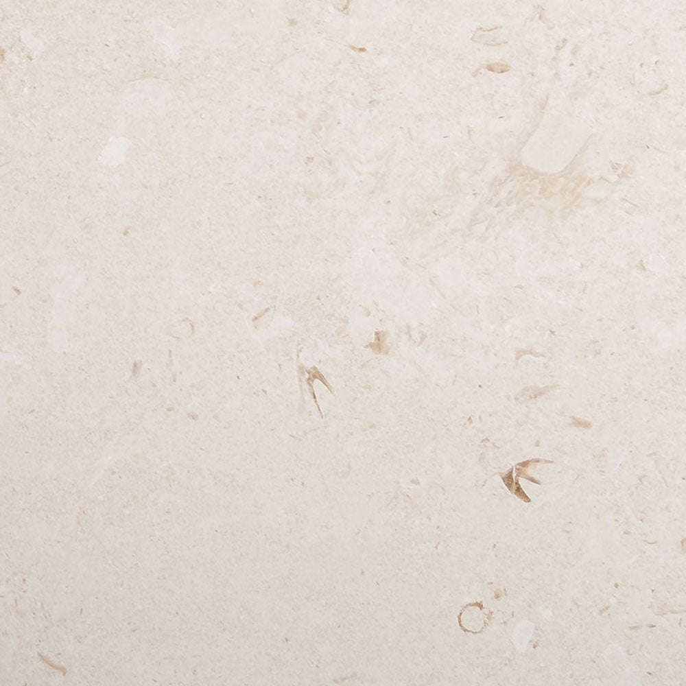 Shell Reef Tumbled Limestone Pavers Swatch Limestone Tumbled 6x6 Pavers