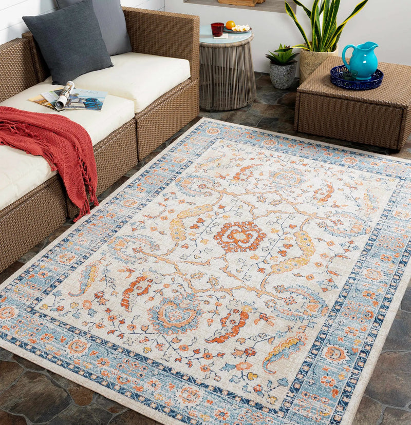 Shafter Traditional Outdoor Area Rug - Clearance by Boutique Rugs
