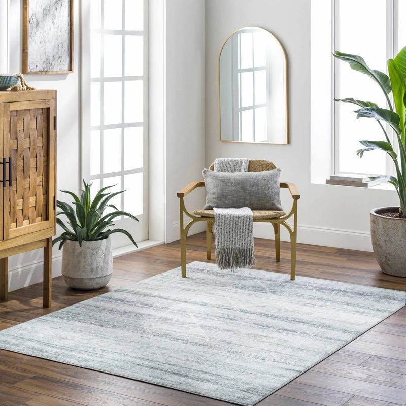 Blake Light Gray Washable Area Rug - Clearance by Boutique Rugs