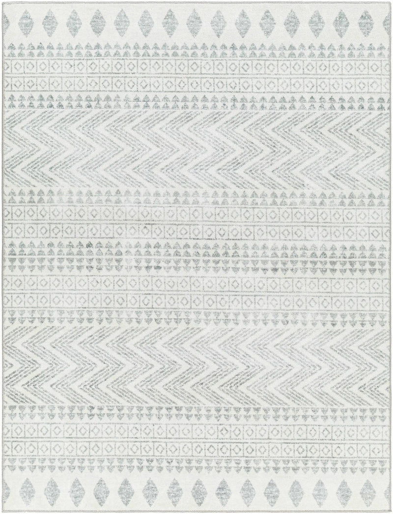Danon Washable Area Rug - Clearance by Boutique Rugs