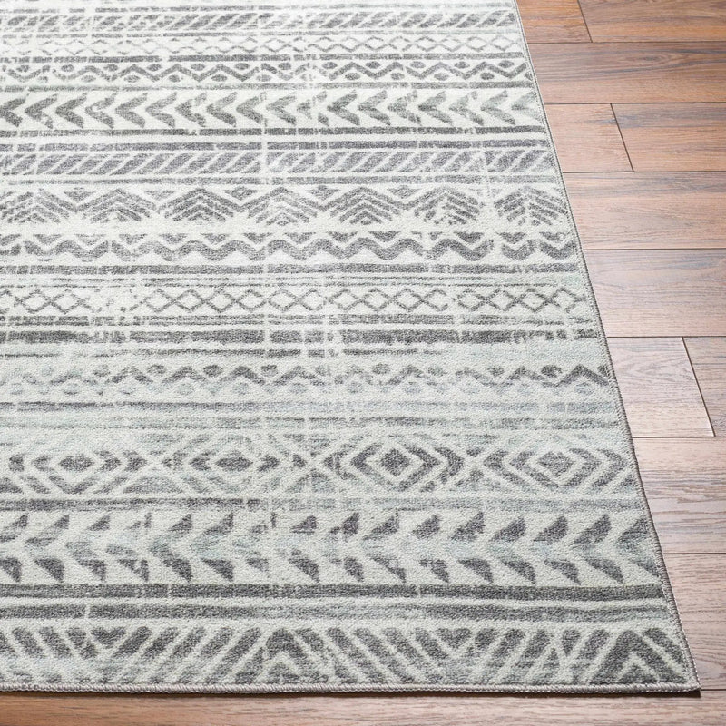 Ianna Light Gray Washable Area Rug - Clearance by Boutique Rugs