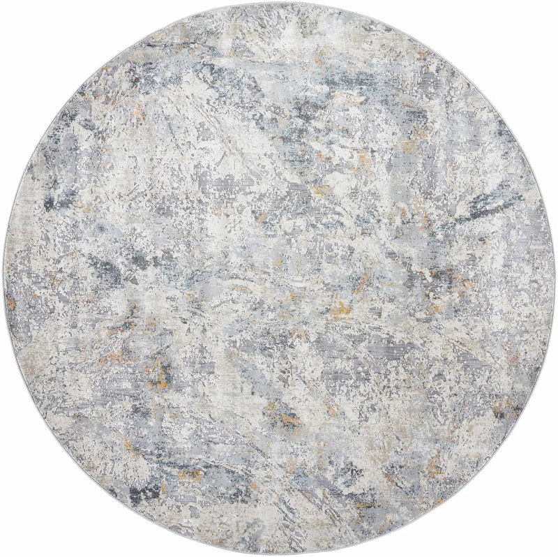 Amzie Area Rug - Clearance by Boutique Rugs