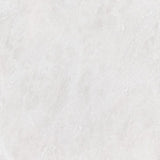 Siberian White Polished Marble Tiles 12x12
