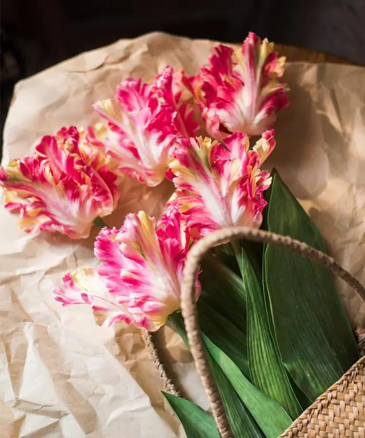 Faux Silk Flower Flame Tulip Stem 24" Tall by RusticReach