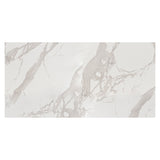 Simplicity Polished Porcelain Tiles 12x24