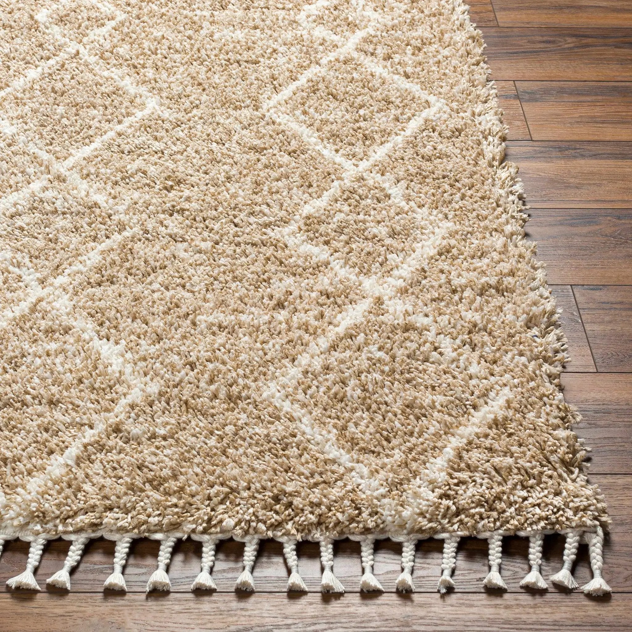 Ishan Area Rug - Clearance by Boutique Rugs