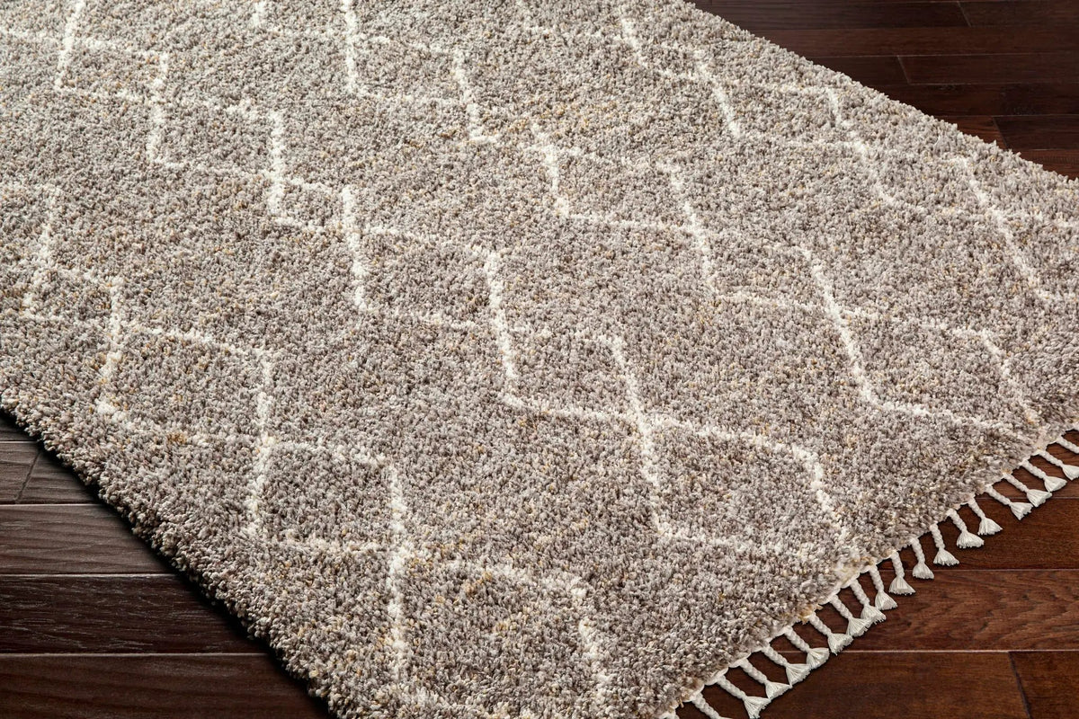 Ishan Taupe Area Rug - Clearance, photo 3 of 5