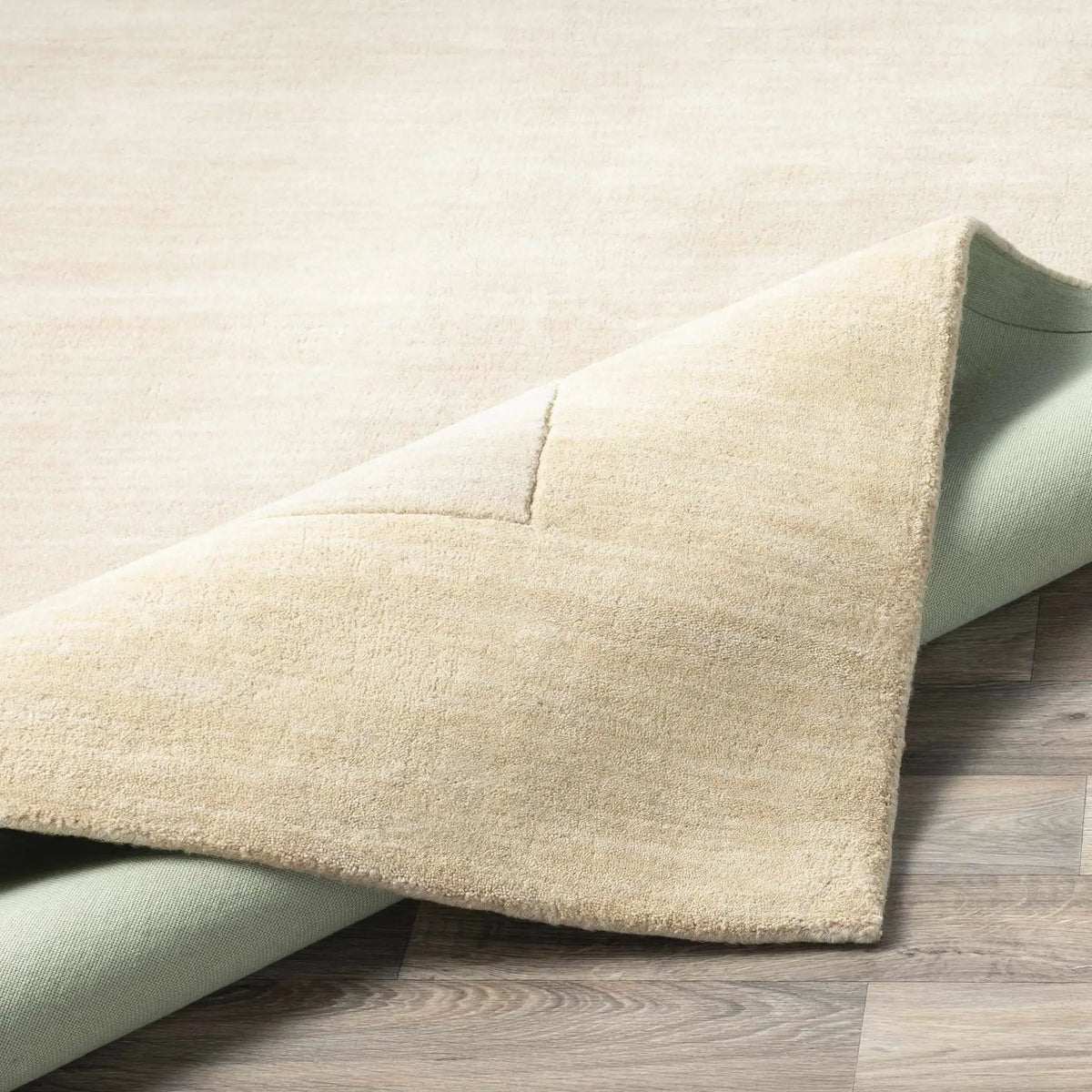 Bordered Solid Beige Wool Rug, photo 9 of 14