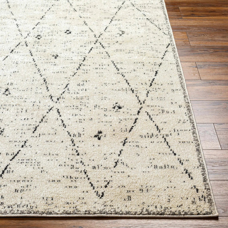 Dilay Area Rug - Clearance by Boutique Rugs