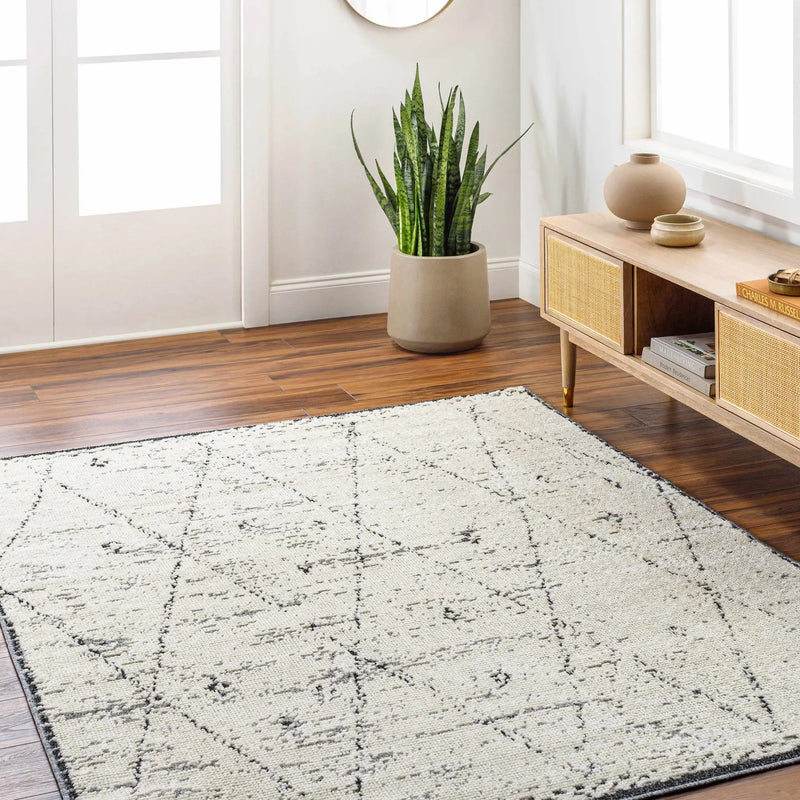 Dilay Area Rug - Clearance by Boutique Rugs