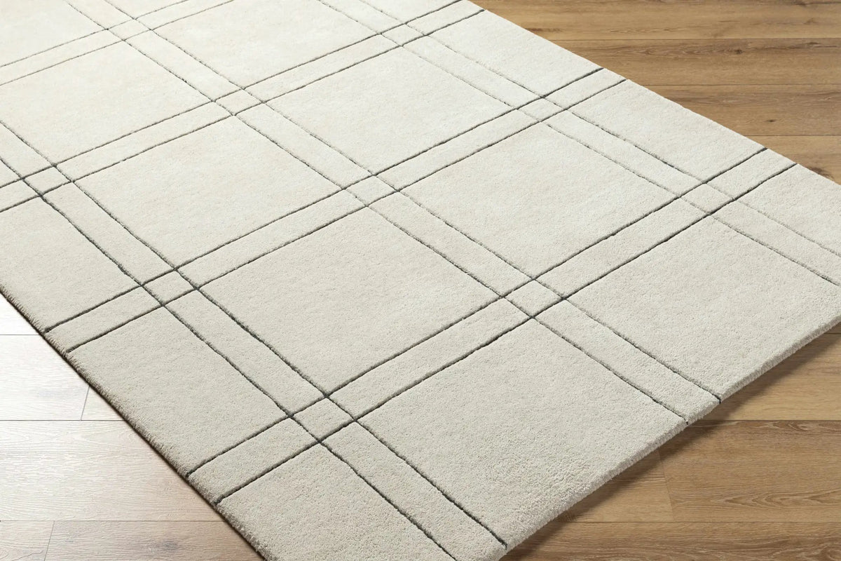 Sixto Beige Area Rug - Clearance, photo 4 of 7
