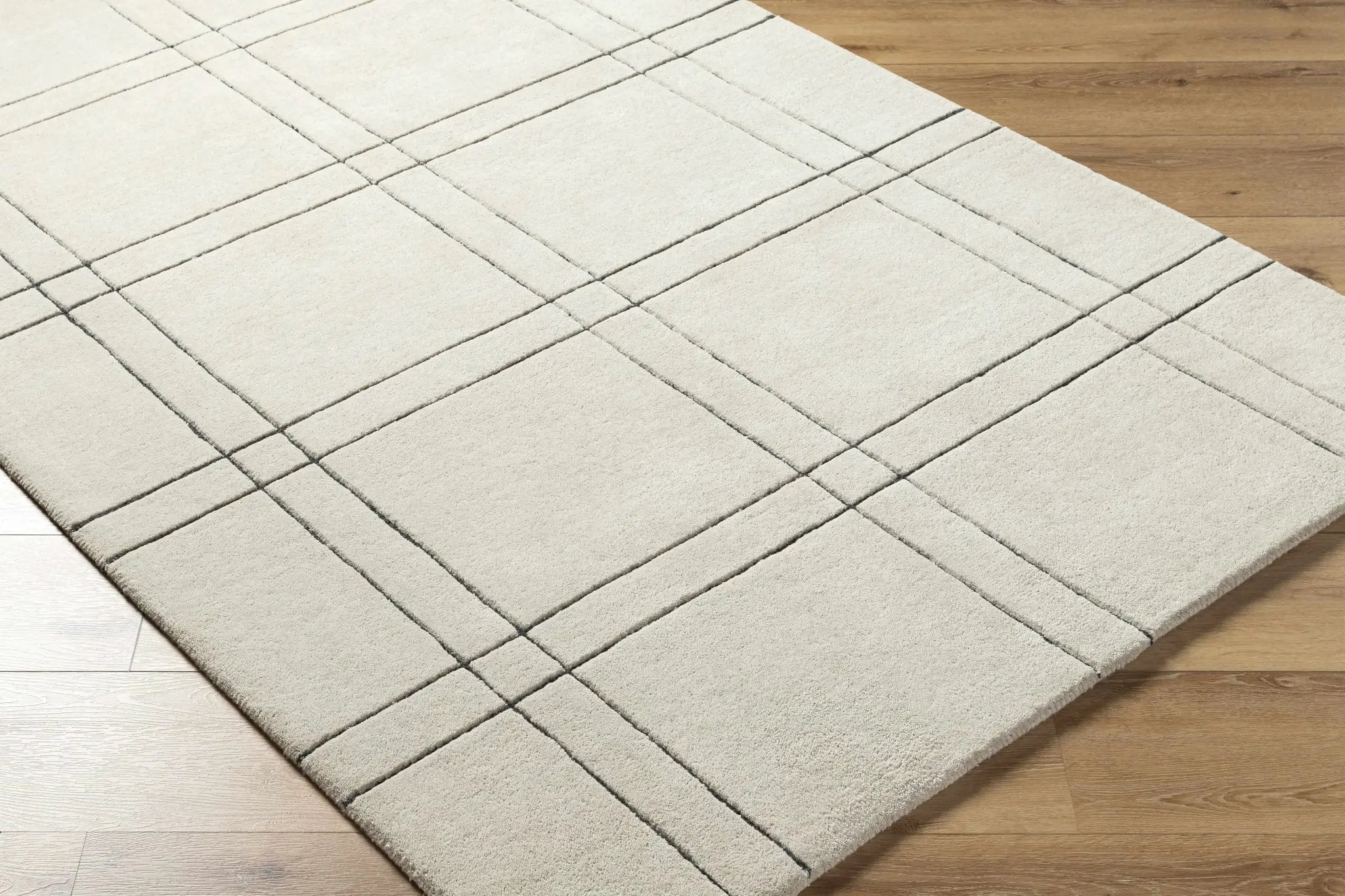 Sixto Beige Area Rug - Clearance by Boutique Rugs