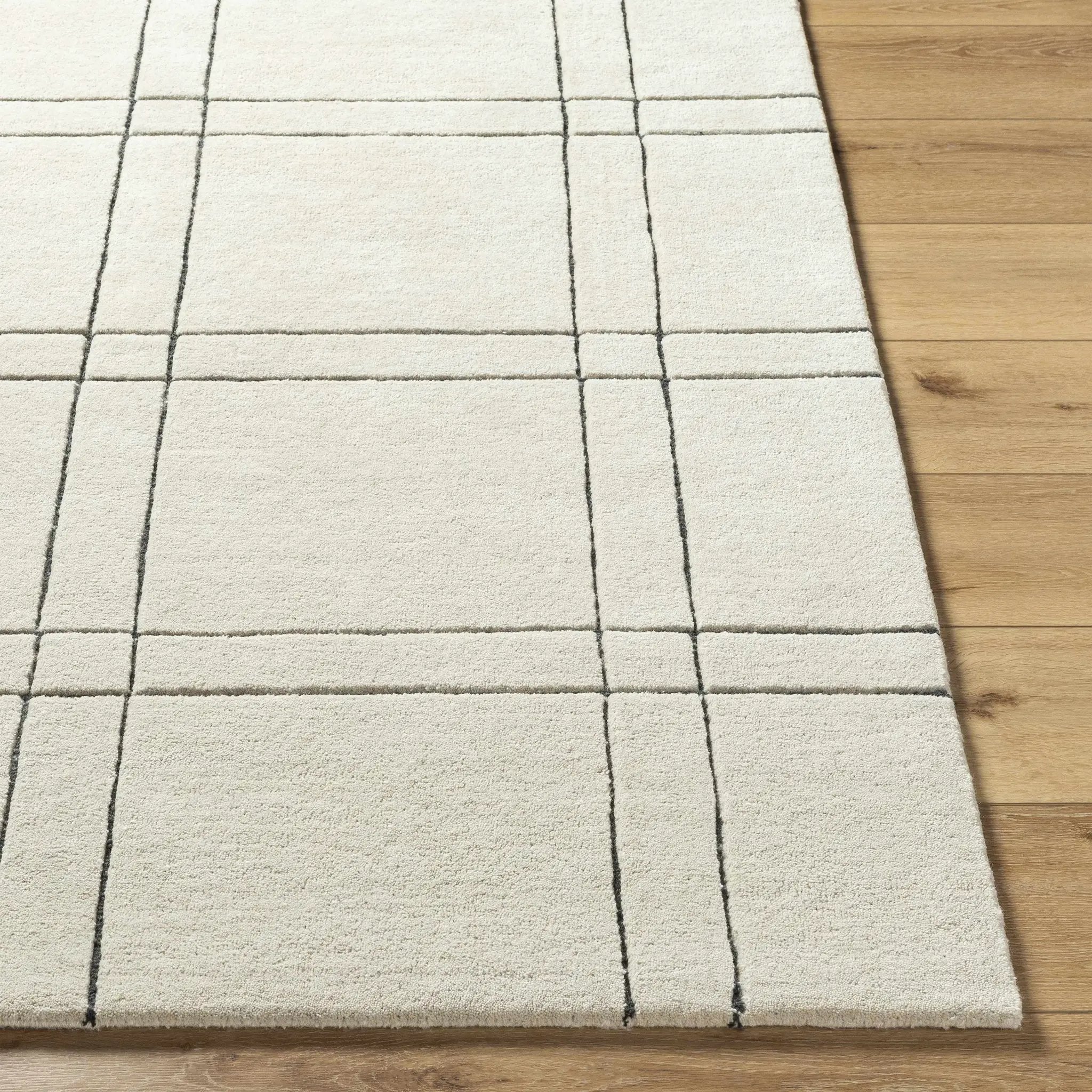 Sixto Beige Area Rug - Clearance by Boutique Rugs