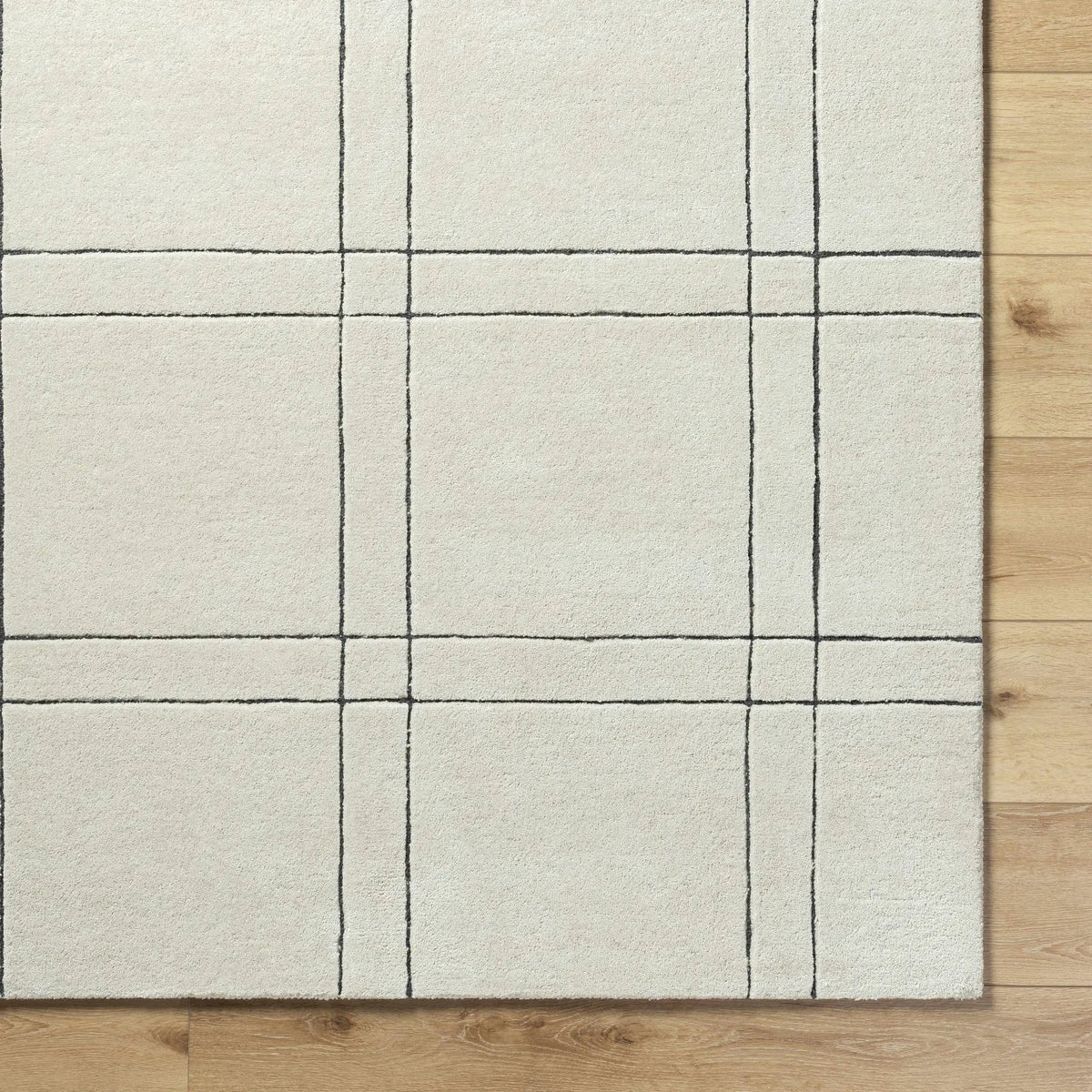 Sixto Beige Area Rug - Clearance, photo 7 of 7
