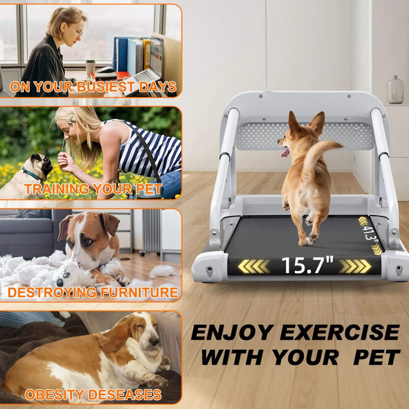 Smart Pet Treadmill With Adjustable Speed For Small And Medium Dogs (SAK72537) by SAKSBY WHOLESALE