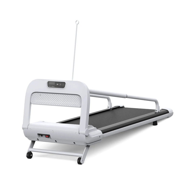 Smart Pet Treadmill With Adjustable Speed For Small And Medium Dogs (SAK72537) by SAKSBY WHOLESALE