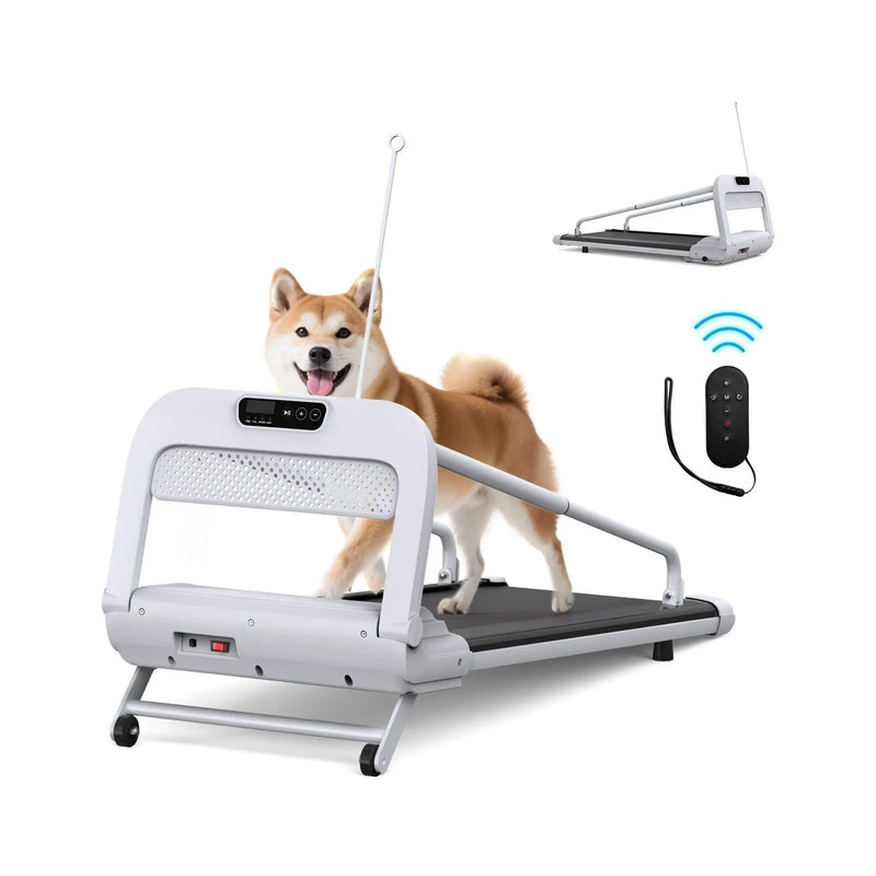 Smart Pet Treadmill With Adjustable Speed For Small And Medium Dogs (SAK72537) by SAKSBY WHOLESALE