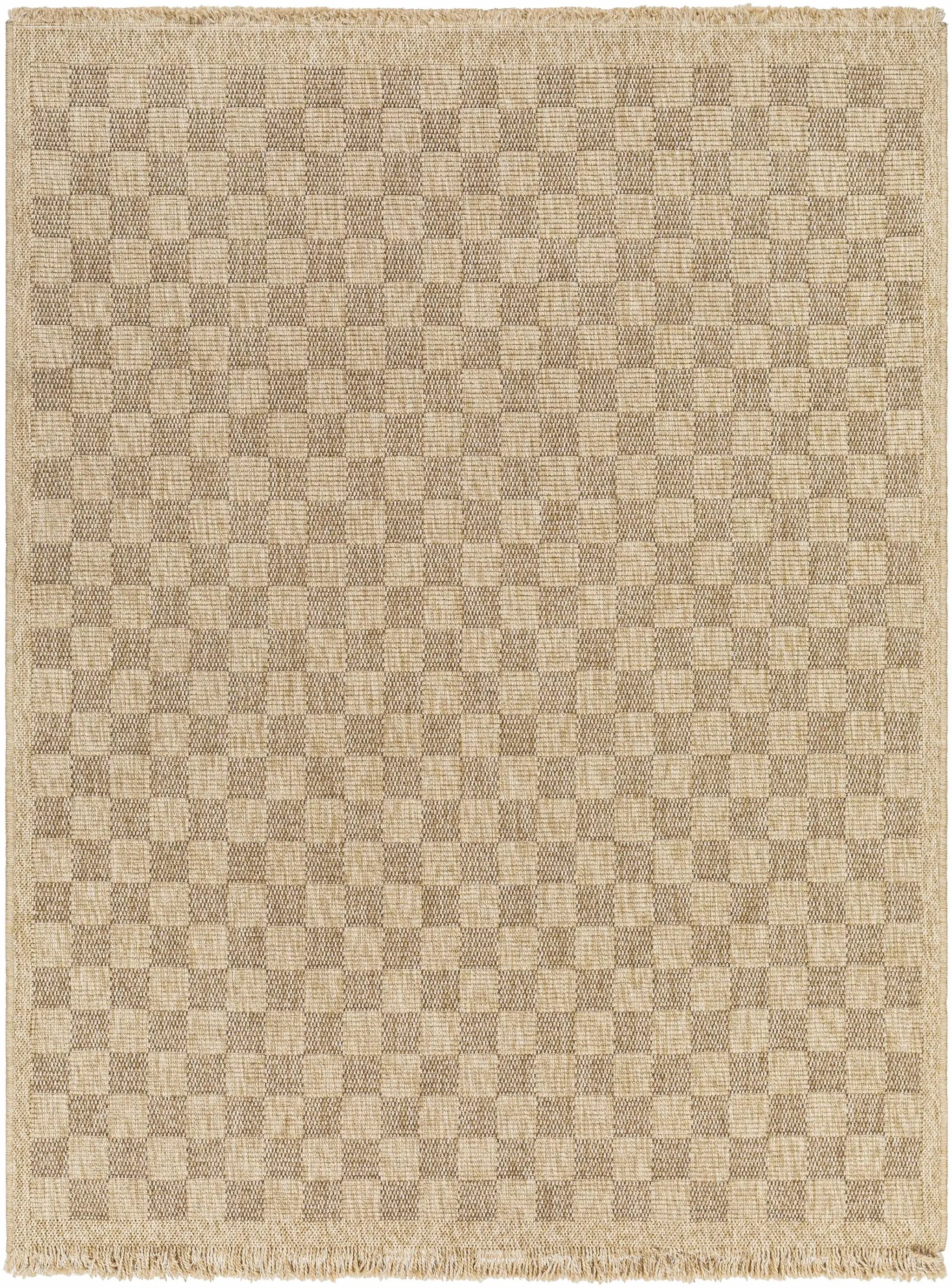 Jurek Beige Checkered Outdoor Area Rug by Boutique Rugs