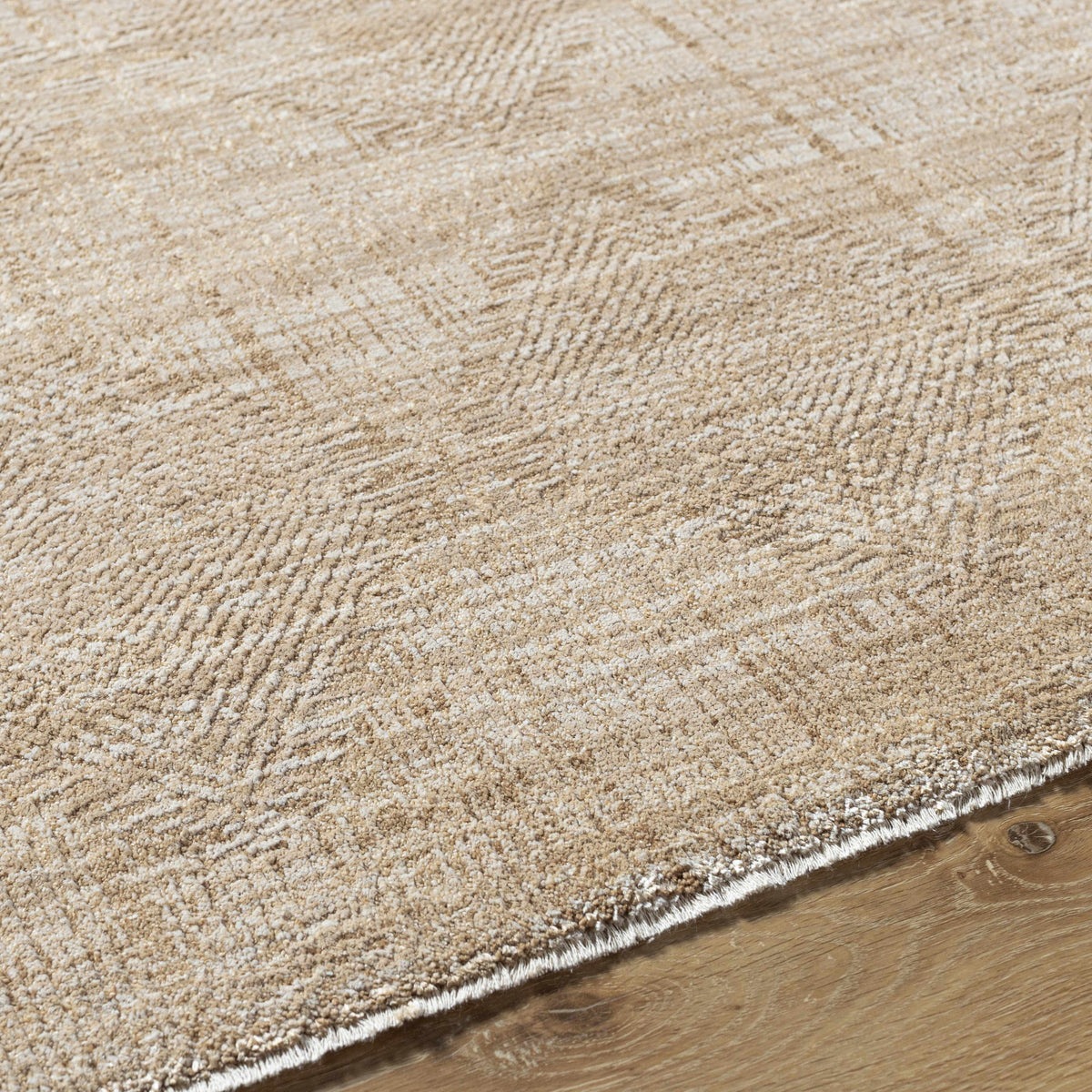Dekan Tan Area Rug, photo 10 of 13