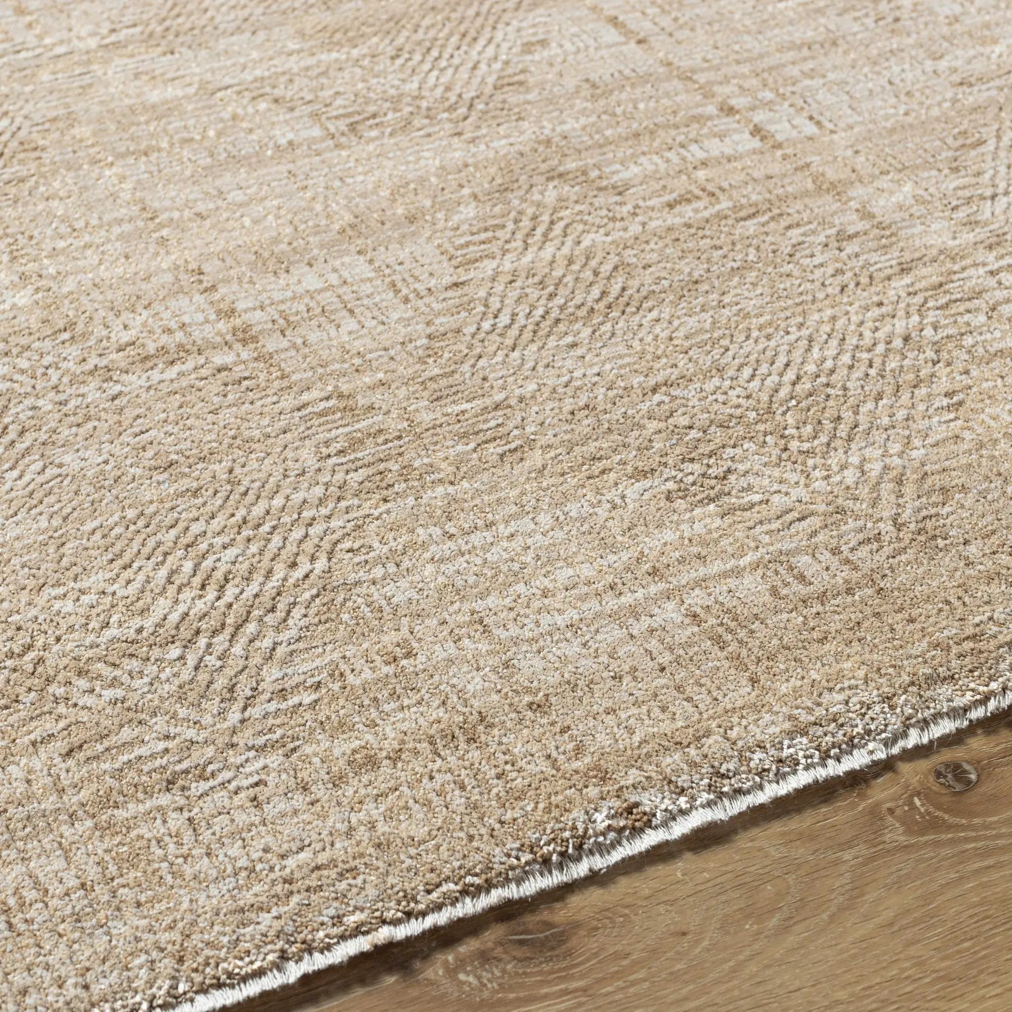 Dekan Tan Area Rug by Boutique Rugs