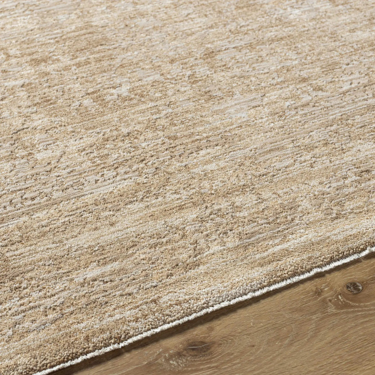 Jenis Beige Area Rug, photo 8 of 14